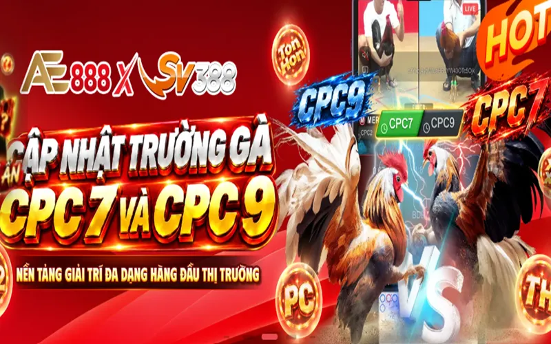AE888 là nhà cái đá gà hàng đầu tại châu Á