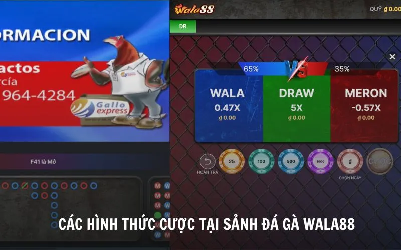 Điểm tên các hình thức cược hấp dẫn tại sảnh đá gà Wala88