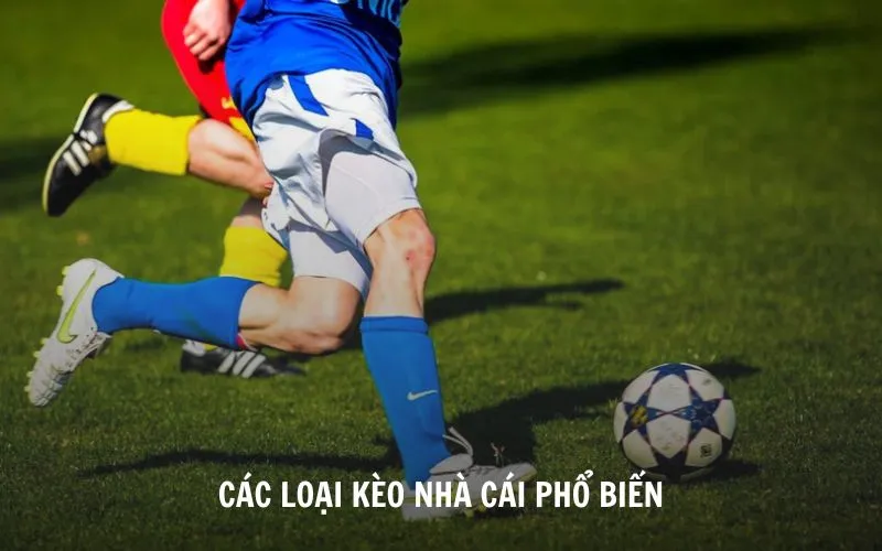 Khám phá các loại kèo nhà cái phổ biến hiện nay tại AE888