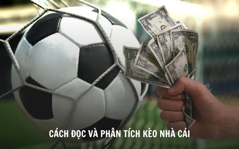 Kiến thức về cách đọc và phân tích kèo nhà cái giúp thắng lớn