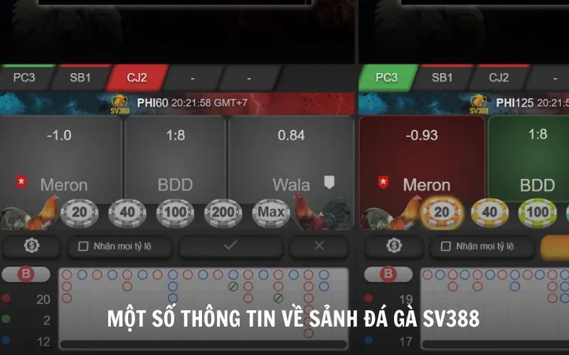 Một số thông tin về sảnh đá gà SV388