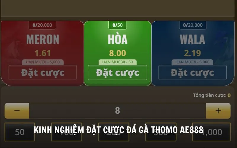 Đá Gà Thomo AE888 - Trực Tiếp Đá Gà Uy Tín, Chất Lượng HD Kinh nghiệm đặt cược hiệu quả khi dự đoán đá gà Thomo