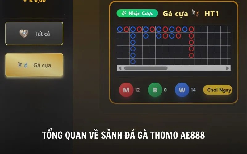 Đá Gà Thomo AE888 - Trực Tiếp Đá Gà Uy Tín, Chất Lượng HD Tìm hiểu thông tin về sảnh đá gà Thomo AE888